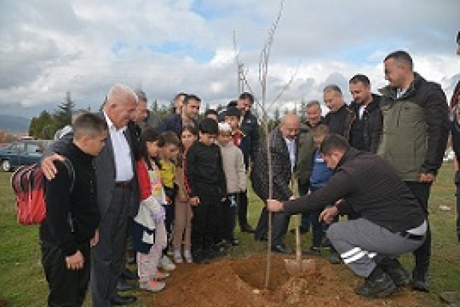 ESNAF ODASININ 300 ADET ÇINAR AĞACI DİKİMİ GERÇEKLEŞTİ