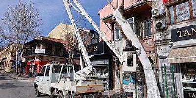 100 YILLIK ÇINAR AĞACI BAKIMDAN GEÇTİ