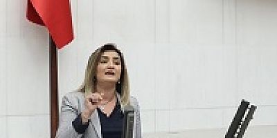                     CHP İzmir Milletvekili Av. Sevda Erdan Kılıç’tan Kanun Teklifi: