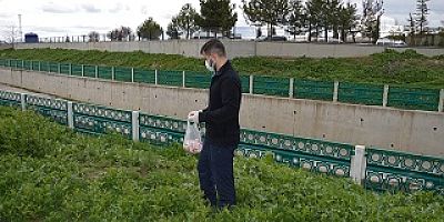Hastane bahçesinde farelere karşı ilaçlama işlemi başarıyla tamamlandı