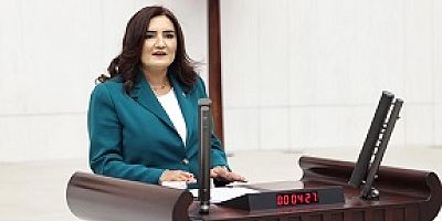 İKİ GÜN İÇİNDE DEVLET KORUMASINDAKİ ÜÇ ÇOCUK ÖLDÜ
