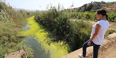 “Kuyu Kurumadan” Su Çalıştayları Devam Ediyor