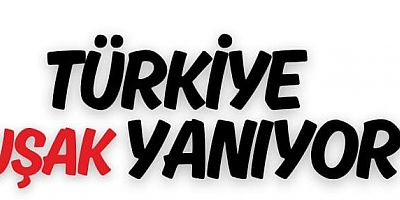  Orman Yangınları Hakkında Kamuoyuna Duyurumuzdur