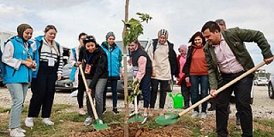 UŞAK BELEDİYESİ, 11 BİN FİDANI TOPRAKLA BULUŞTURUYOR