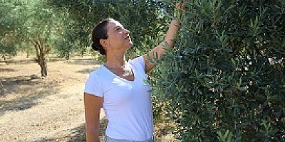 Zeytin Yasasına Bir Tepki de Başkan Sengel’den