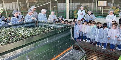 Zeytin zeytinyağı ihracatının şampiyonları ödüllerine kavuşuyor