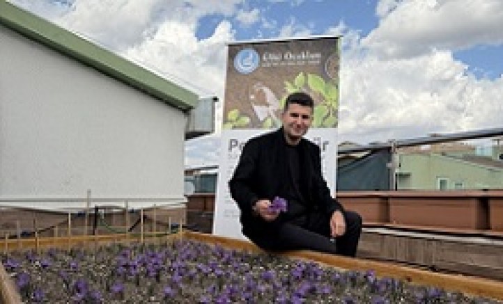 Ülkü Ocakları Genel Merkezi’nin Terasında Safran Hasadı!